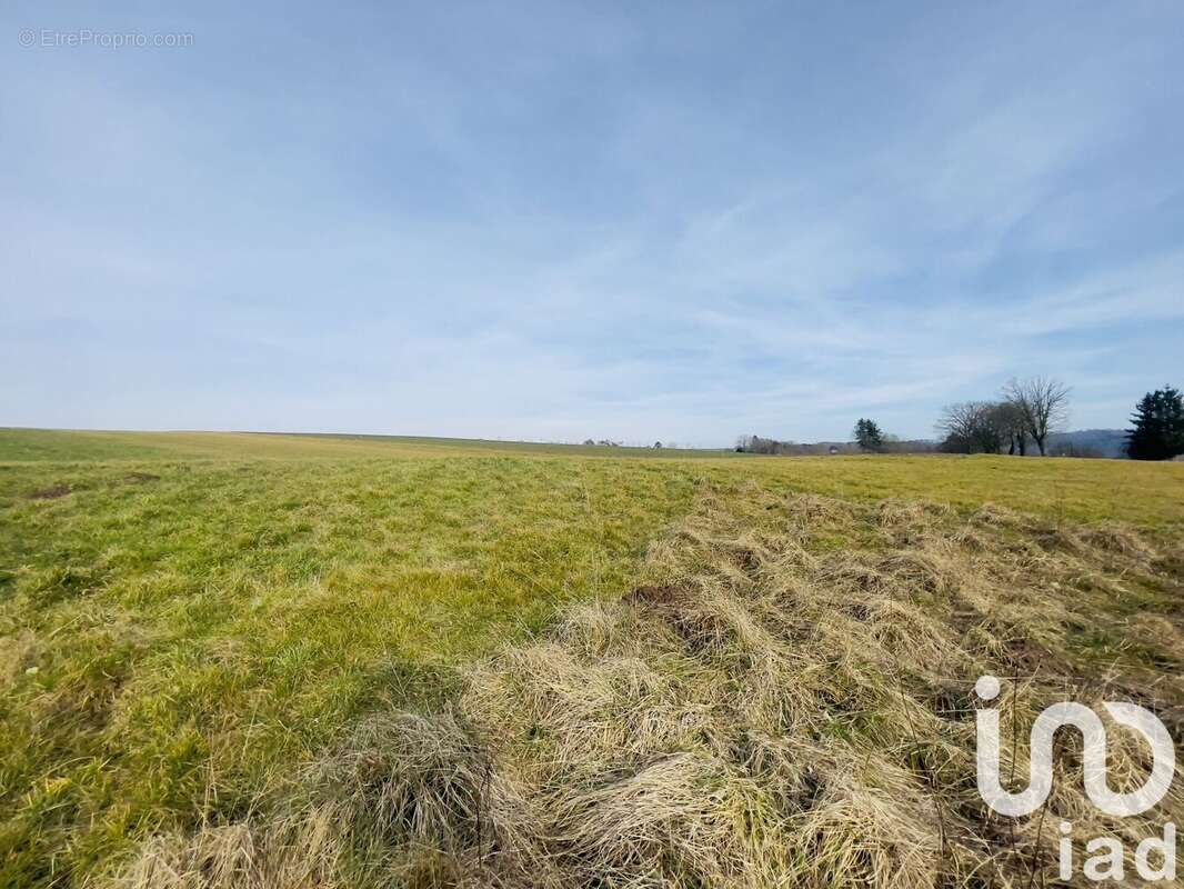 Photo 2 - Terrain à ABRESCHVILLER