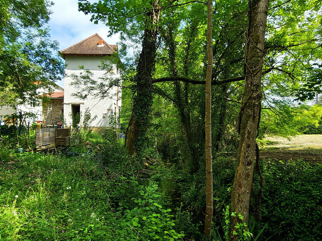 Maison à CAYLUS