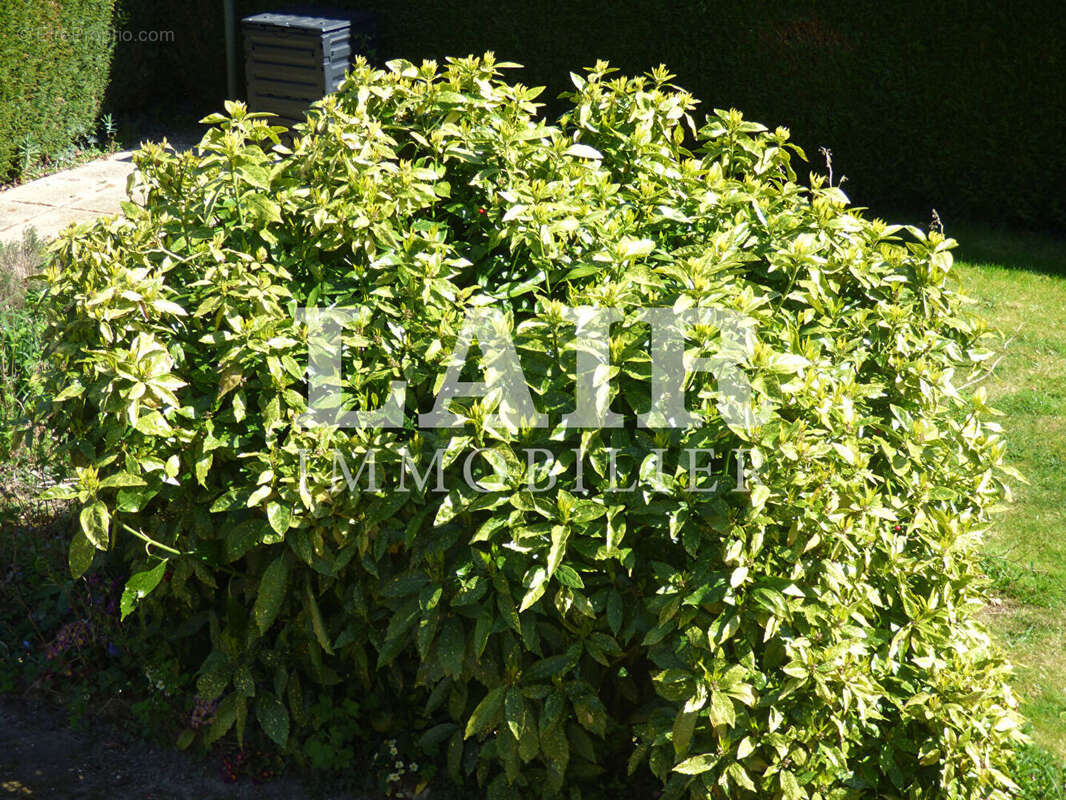 Maison à PRE-EN-PAIL