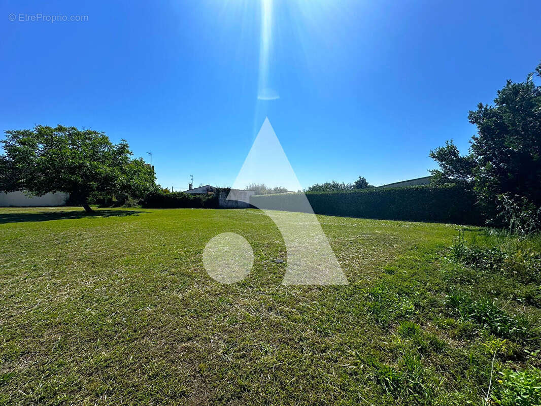 Terrain à MARENNES