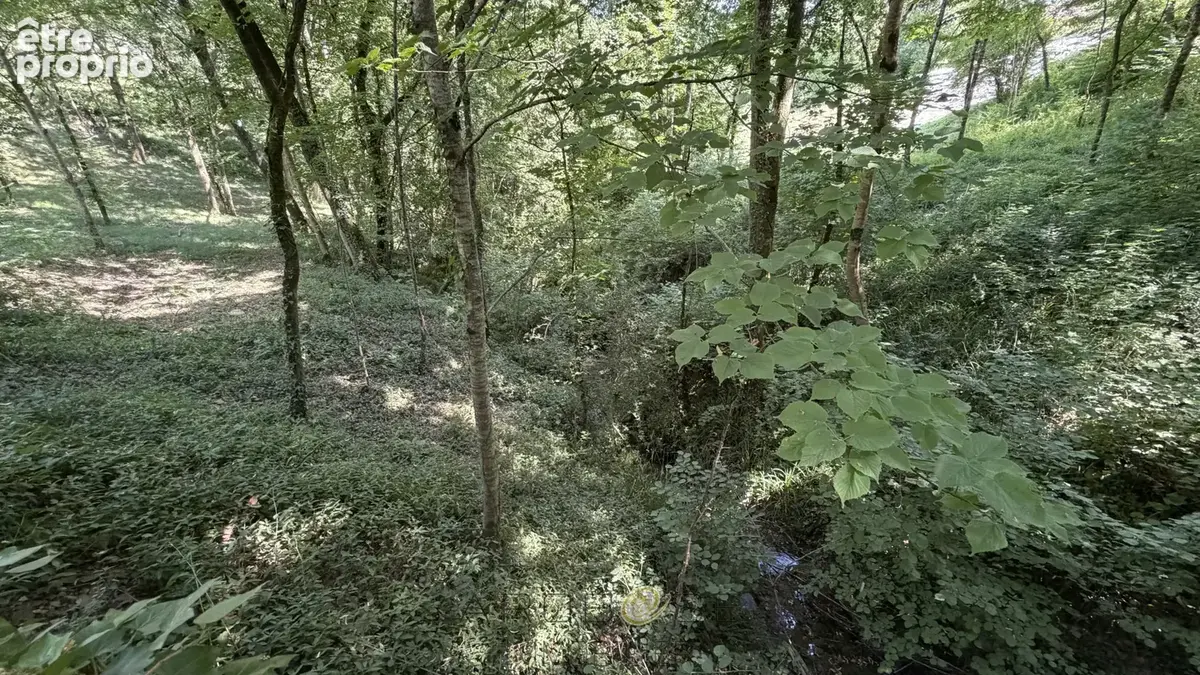 Propriété de caractère avec activité de gîtes sur  environ 10 hectares . - photo 41
