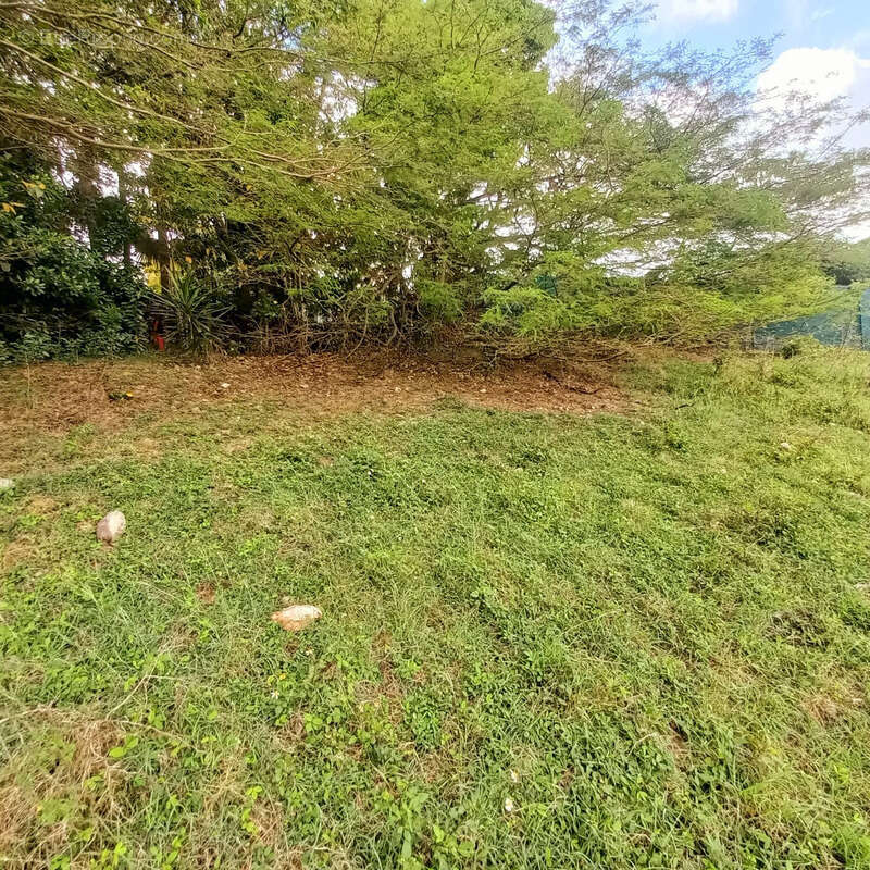 Terrain à LE GOSIER