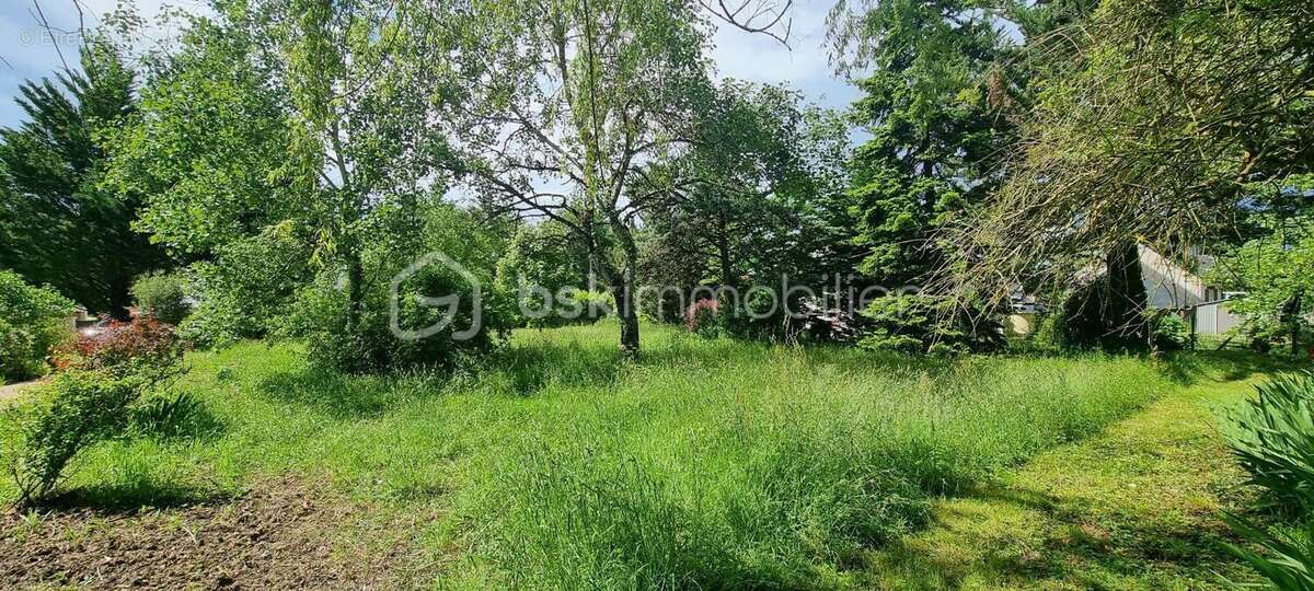 Terrain à AZAY-LE-RIDEAU