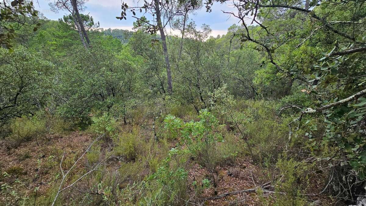 Photo 5 - Terrain à SILLANS-LA-CASCADE