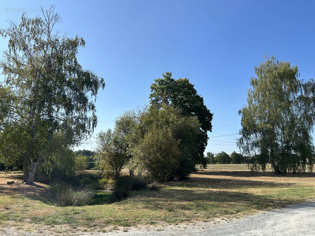 Propriété 2 maisons - dépendances - étang - idéale projet gîte ou professionnel - photo 22