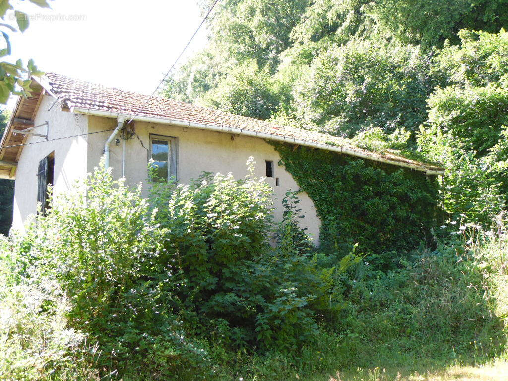 SENONES (Vosges) garage sur deux niveaux - photo 9