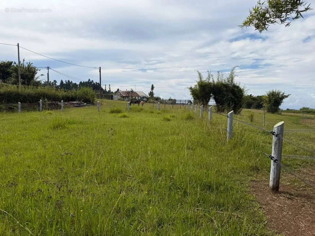 Maison à SAINT-JOSEPH