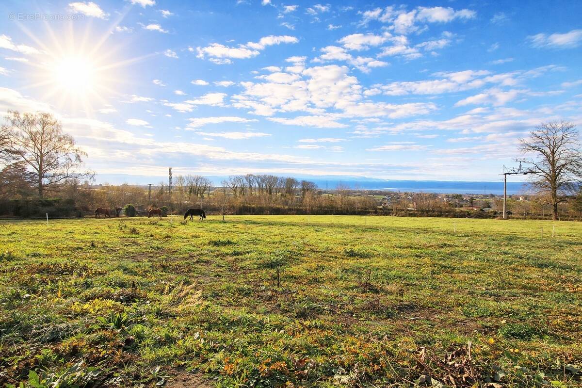 Terrain à ANNECY