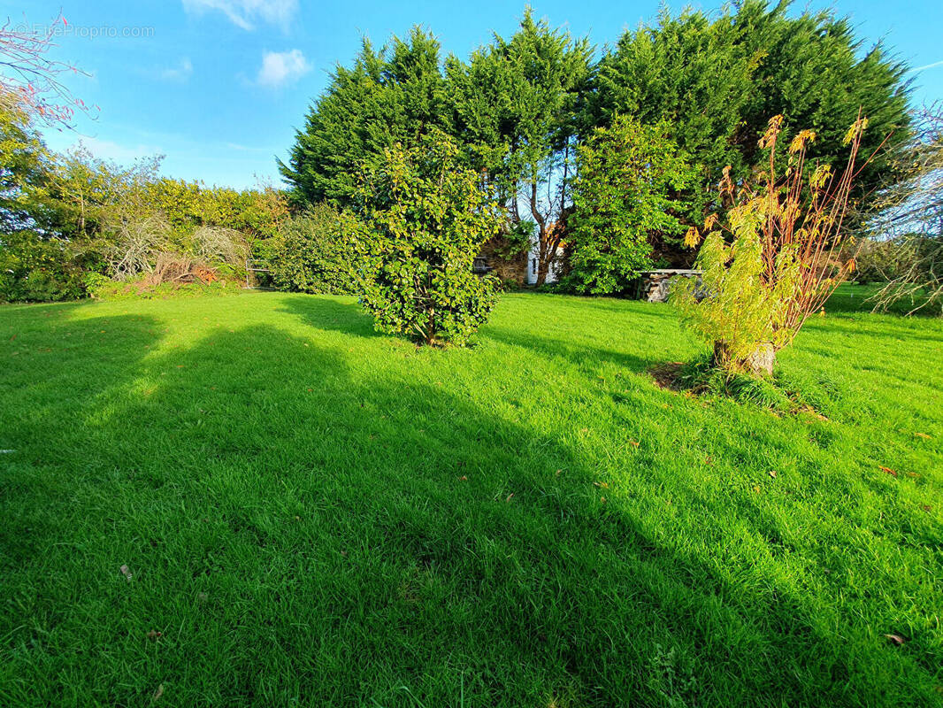 Terrain à FOUESNANT