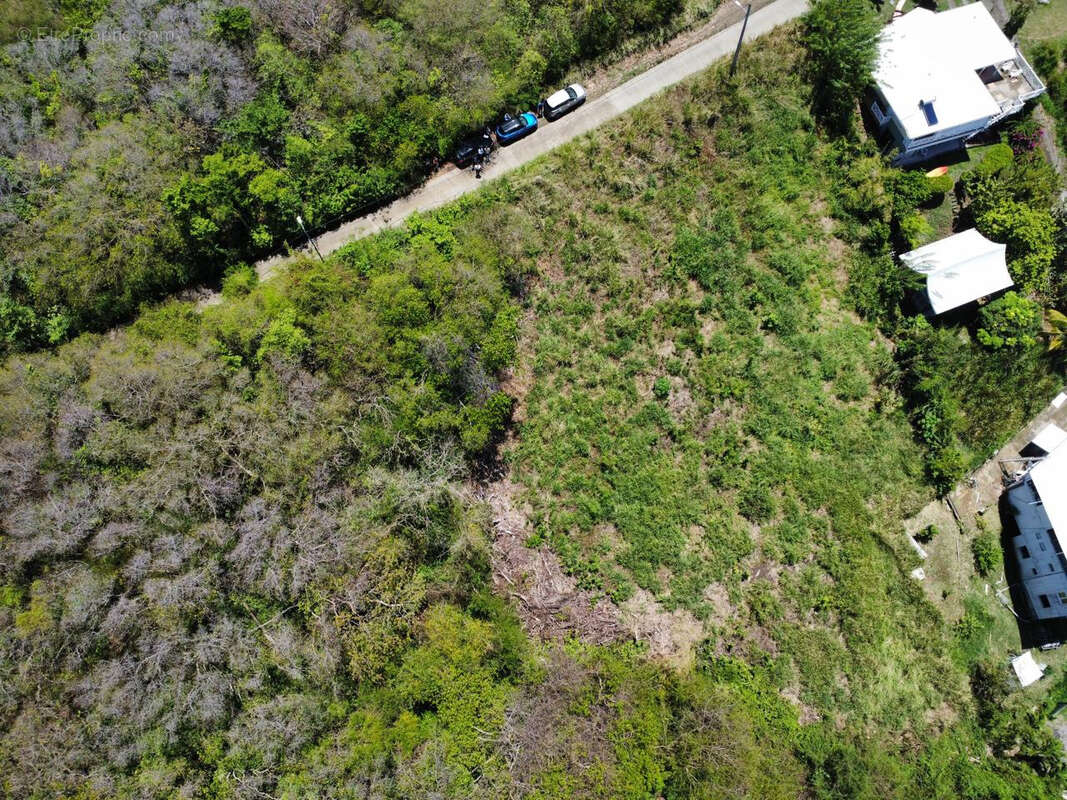 Terrain à LE ROBERT