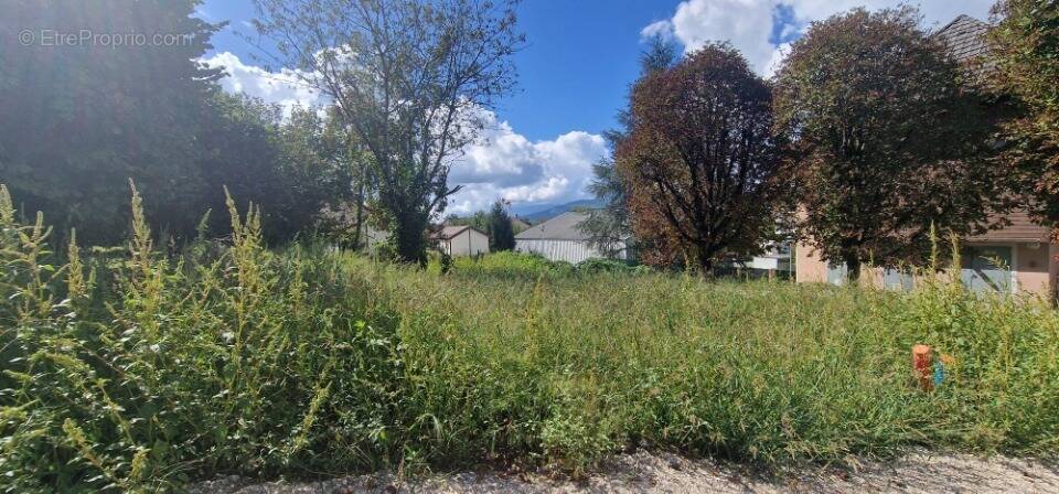 Terrain à SAINT-FELIX