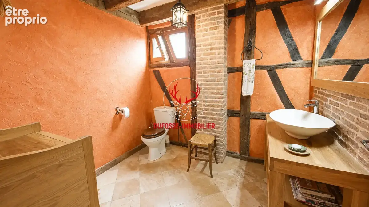 Saint-bonnet-en-bresse - ancienne diligence 240m² - 1,5 hectares - dependances - photo 26