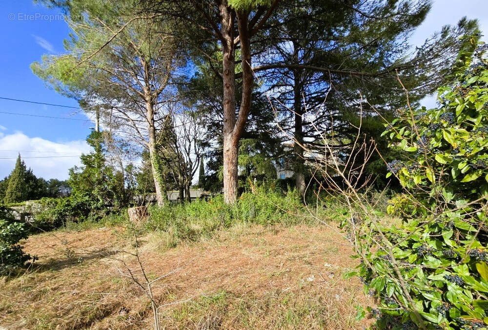 Terrain à MILHAUD