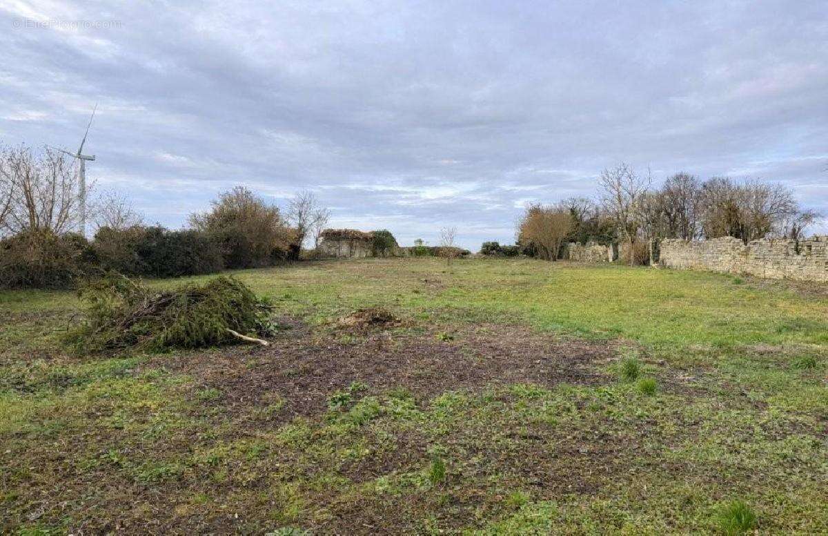 Maison 8 pièces 253 m² à vendre à Ruffec (16240) - photo 3