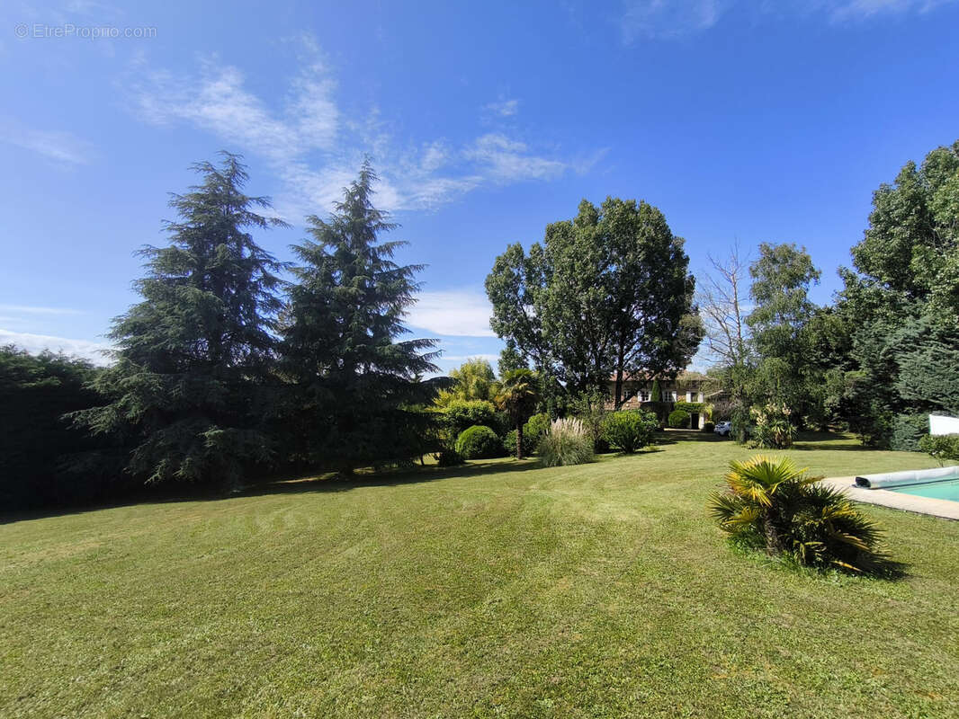 Drome des collines. bien d'exception. restaure en totalite sur 220m2. parc arbore 5000m2. piscine . dependance - photo 30