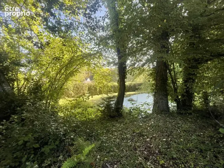 Propriété d’exception dans un cadre naturel préservé, entre Le Touquet et Montreuil-sur-Mer - photo 8