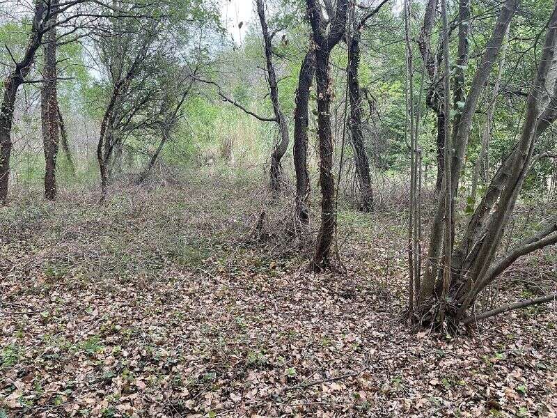 Terrain à MARQUIXANES