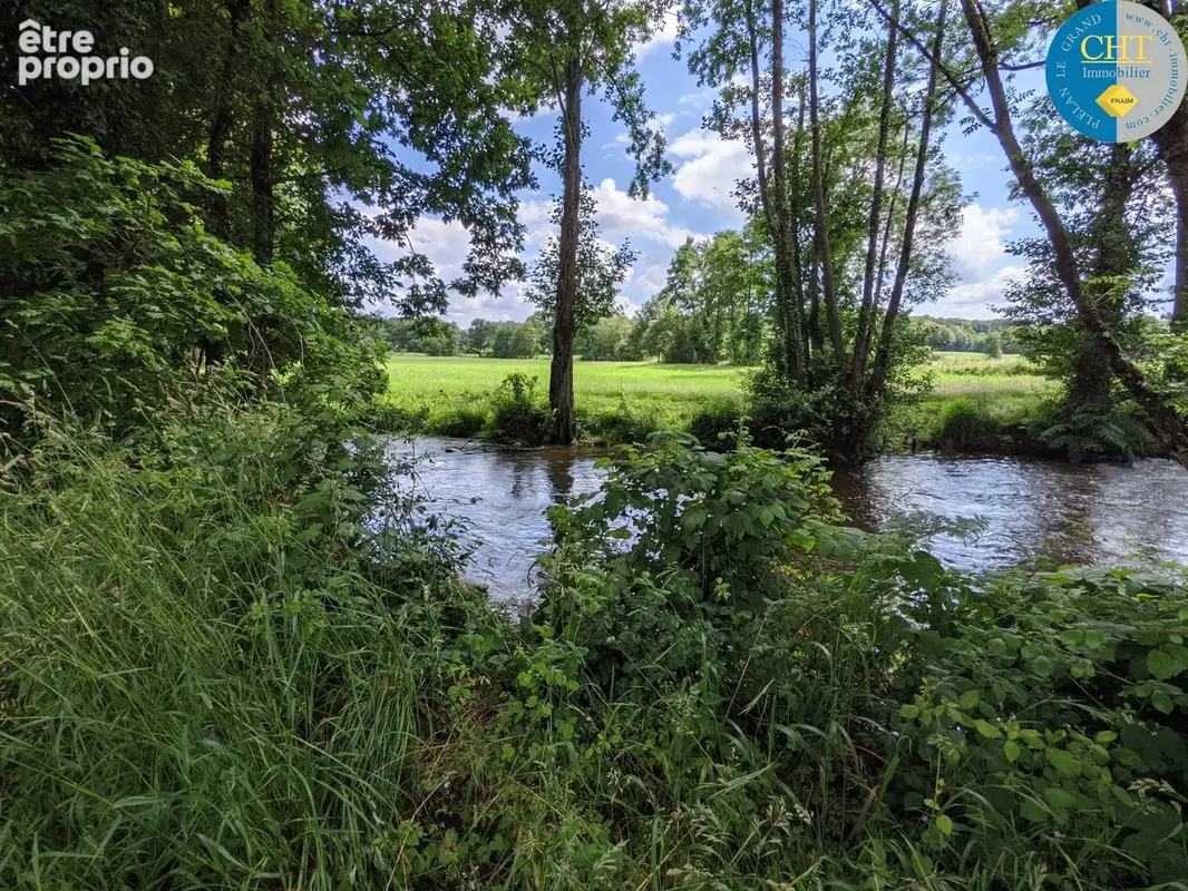 À Plélan-Le-Grand (35), Herbage de 13 000m2 et Parcelle de bois de 2 150m2 - photo 6