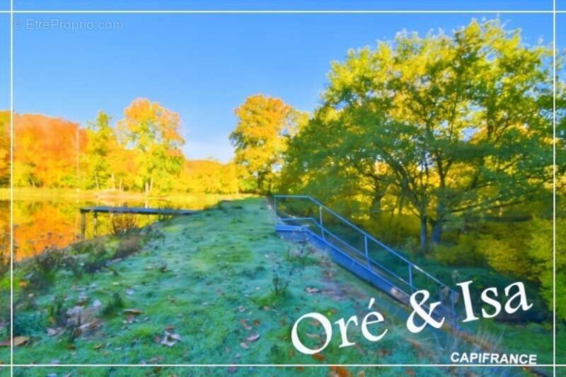 Terrain à SAINT-DESIRE