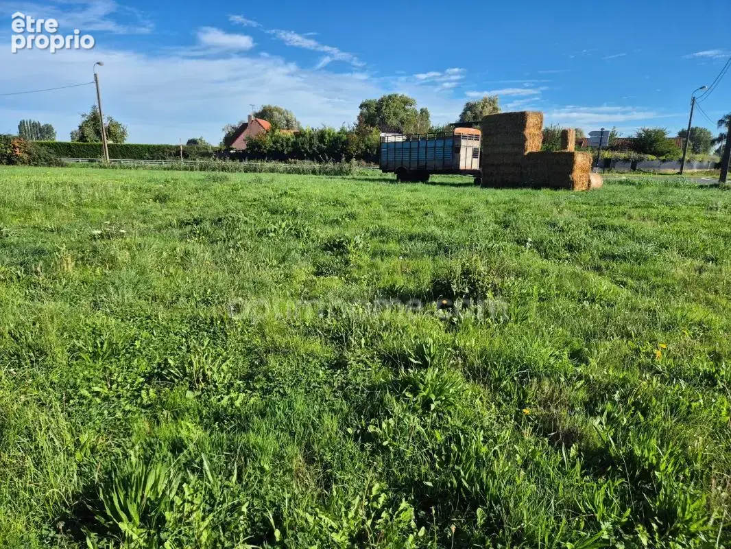 Terrain à vendre de 1 561,00 m² FRELINGHIEN (59) - photo 3