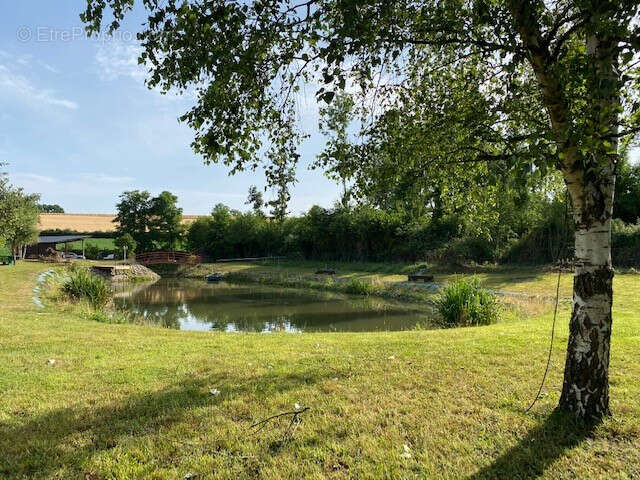 Terrain à CHATILLON-SUR-CHALARONNE