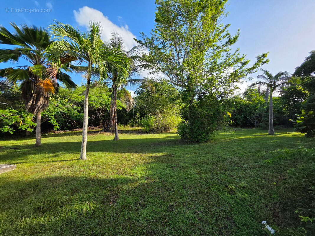 Maison à GRAND-BOURG