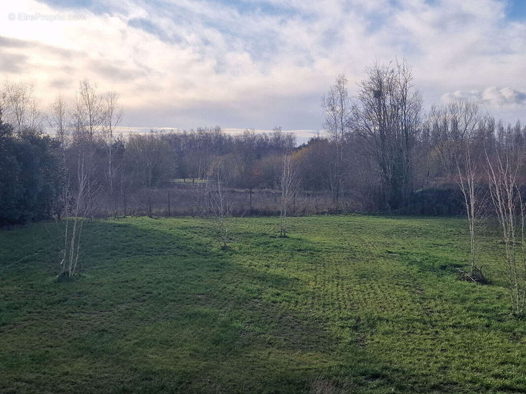 Commerce à LA CHAPELLE-EN-SERVAL