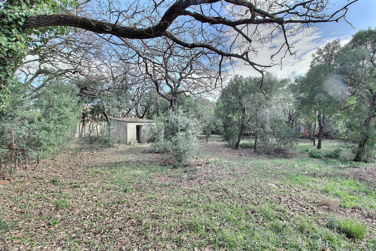 Terrain à VIOLS-LE-FORT