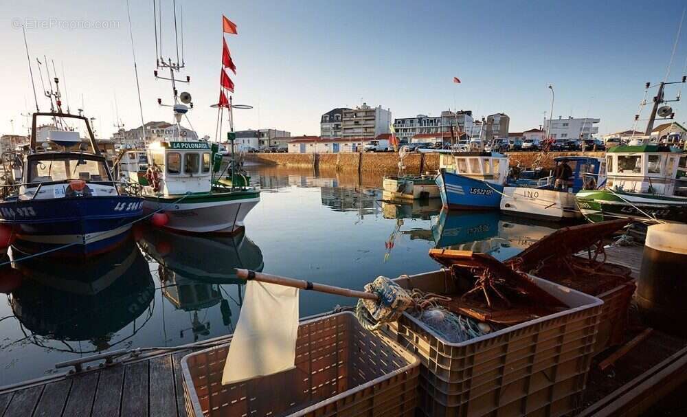 Terrain à SAINT-HILAIRE-DE-RIEZ