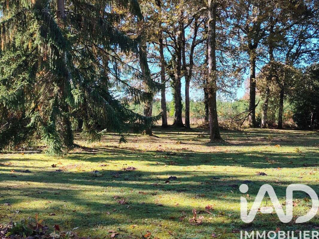 Photo 7 - Maison à SAUBION