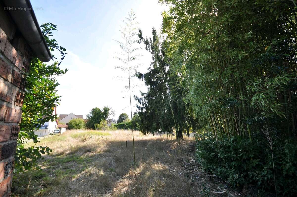Terrain à BRUYERES-LE-CHATEL