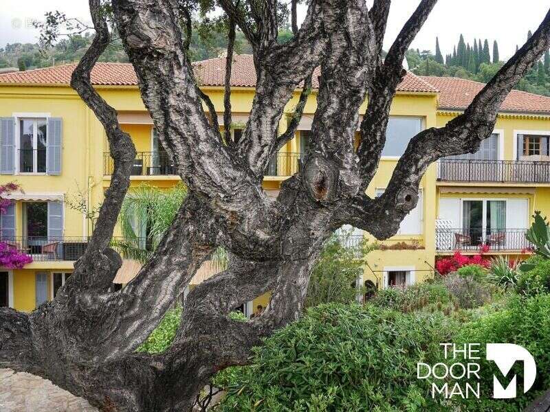 Commerce à LE LAVANDOU