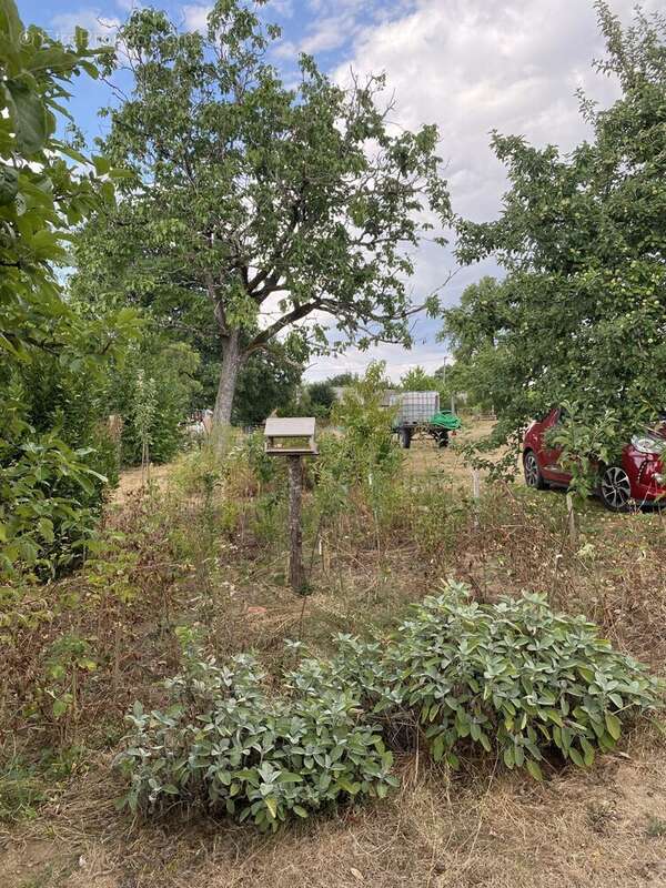 Maison 95 m² à Chateauneuf-La-Foret  - photo 4