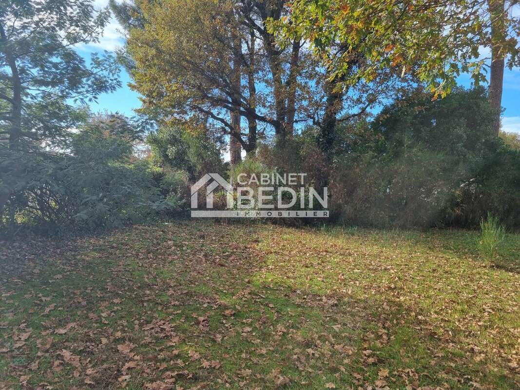Terrain à BIGANOS
