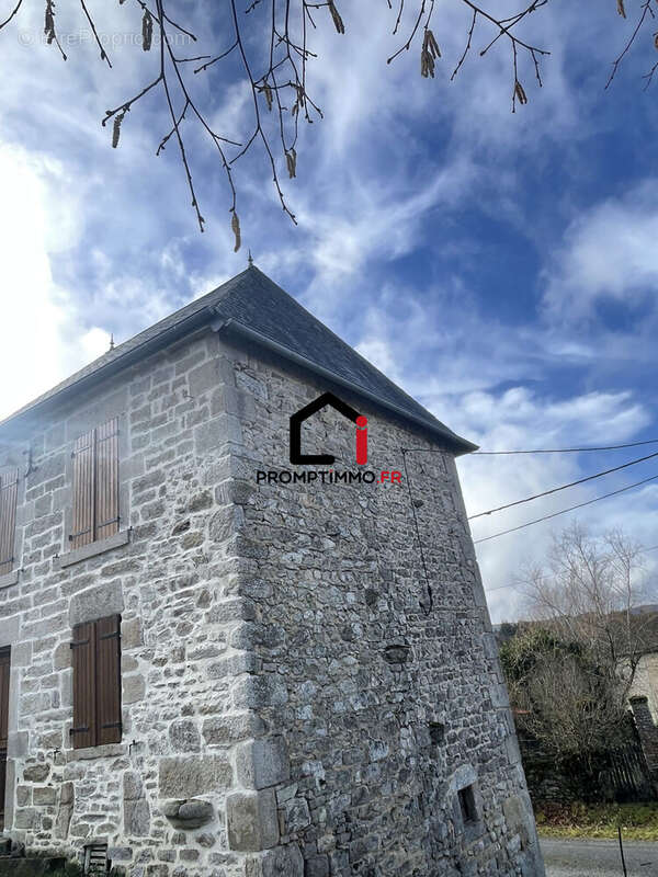 Maison à SAINT-PIERRE-BELLEVUE