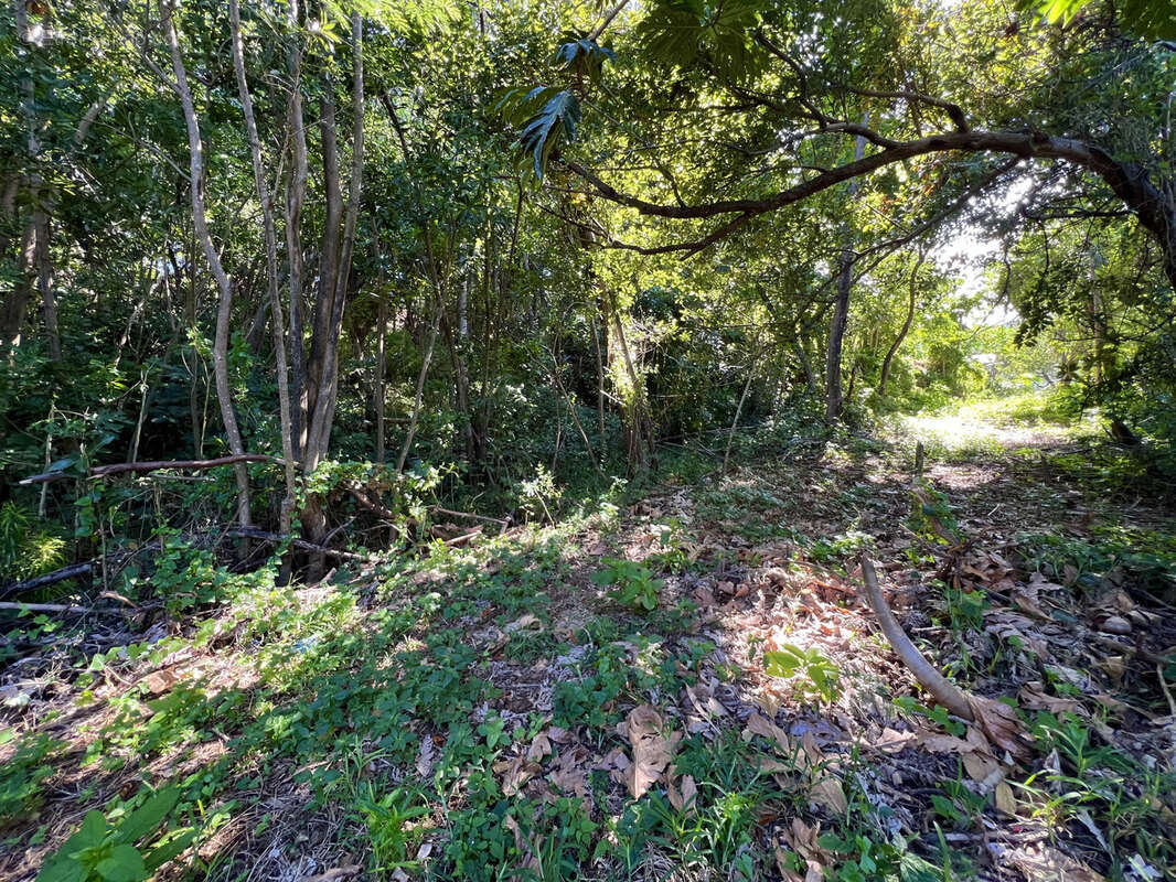 Maison à SAINT-JOSEPH