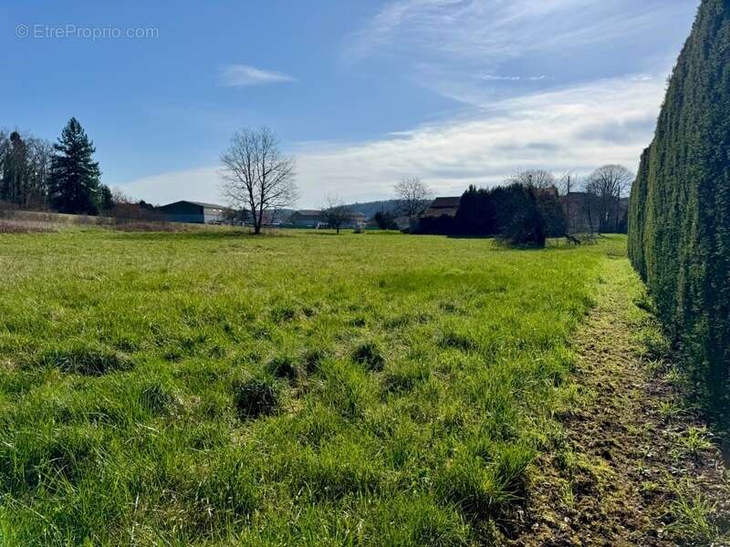 Terrain à SAVIGNAC-LES-EGLISES