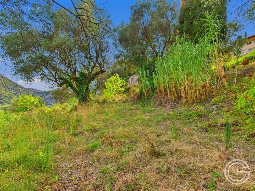 Terrain Constructible - 1.329m² - Chemin de Rimiez - ST ANDRE DE LA ROCHE - photo 8