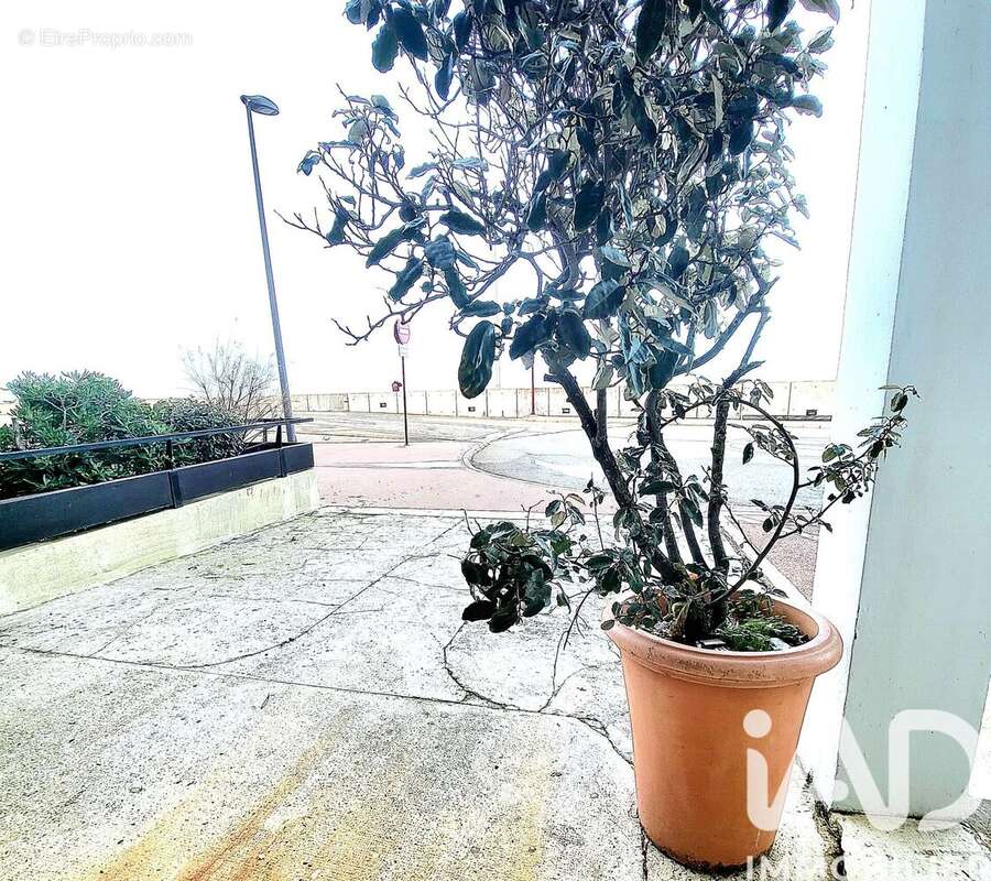 Photo 5 - Appartement à FECAMP