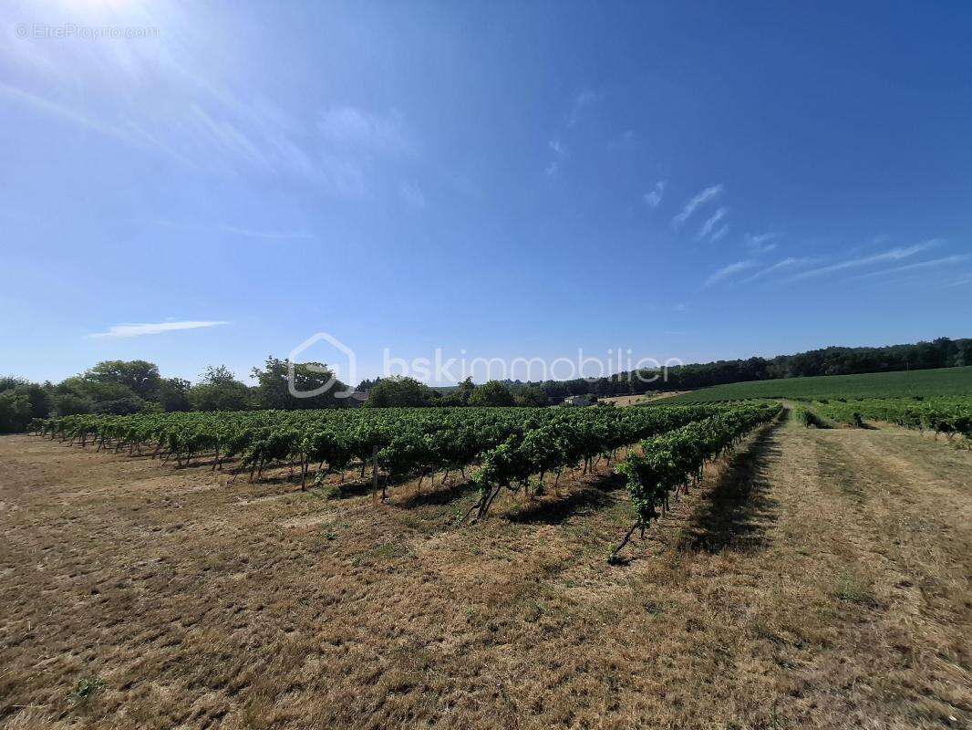 Terrain à bâtir de 1956 m² – Mérignas (33350) - photo 2