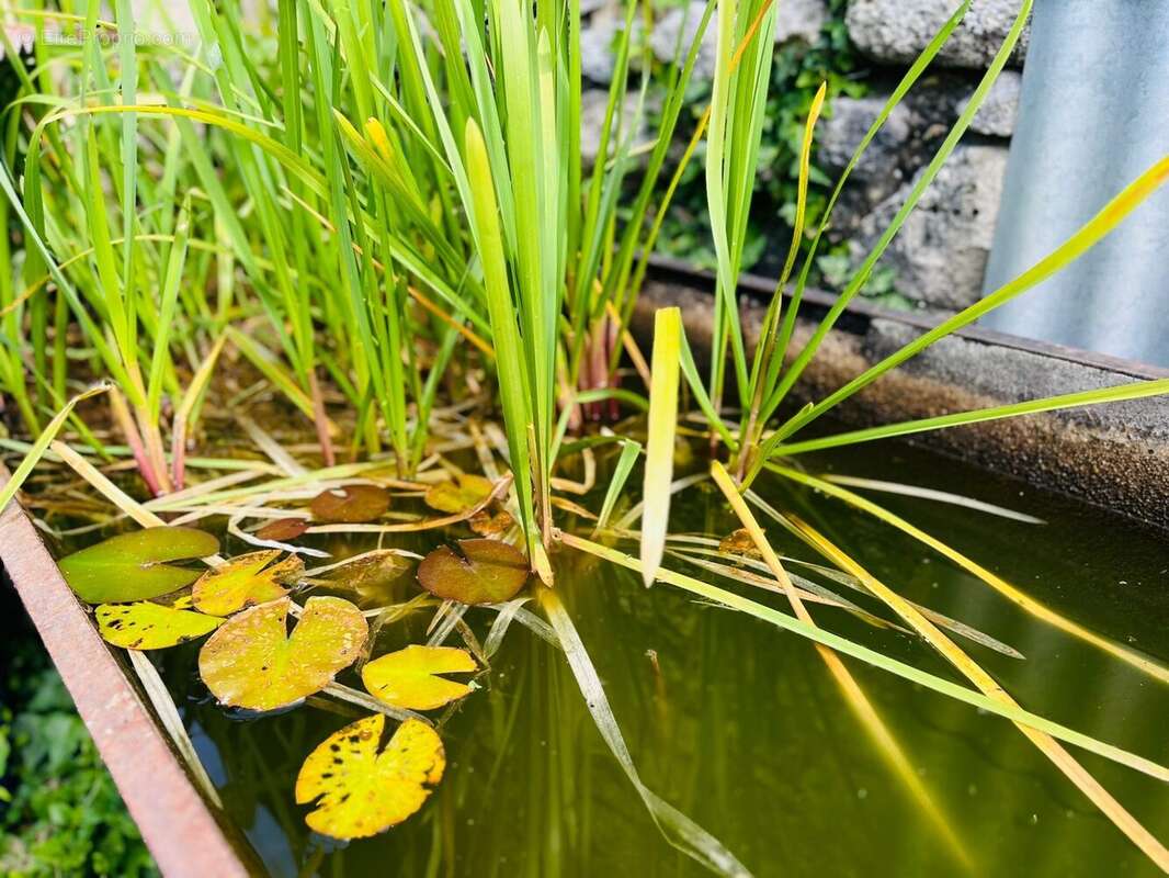 Maison à MARIGNY-MARMANDE