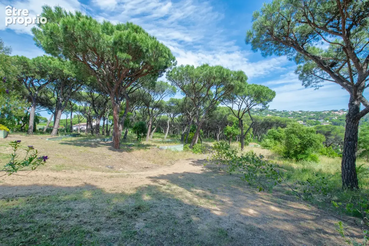 Sainte-maxime – résidence les pins bleus - photo 14