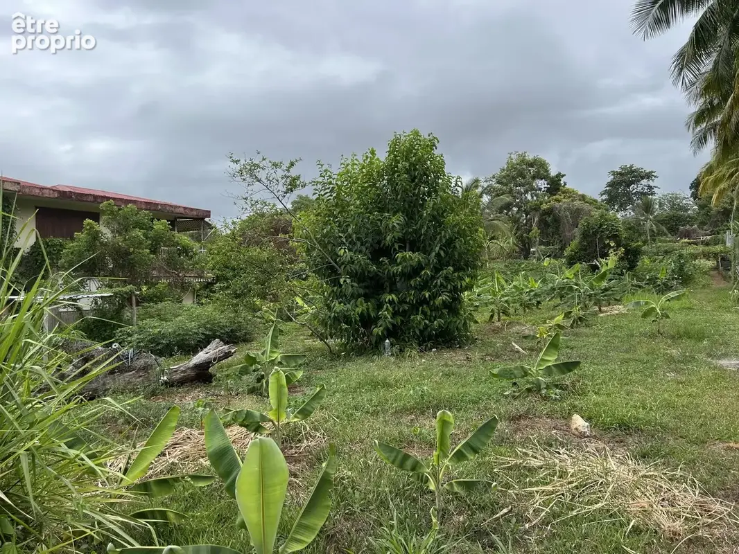 Exclusivité terrain constructible – 2 385 m² – changy, capesterre-belle-eau – guadeloupe - photo 2
