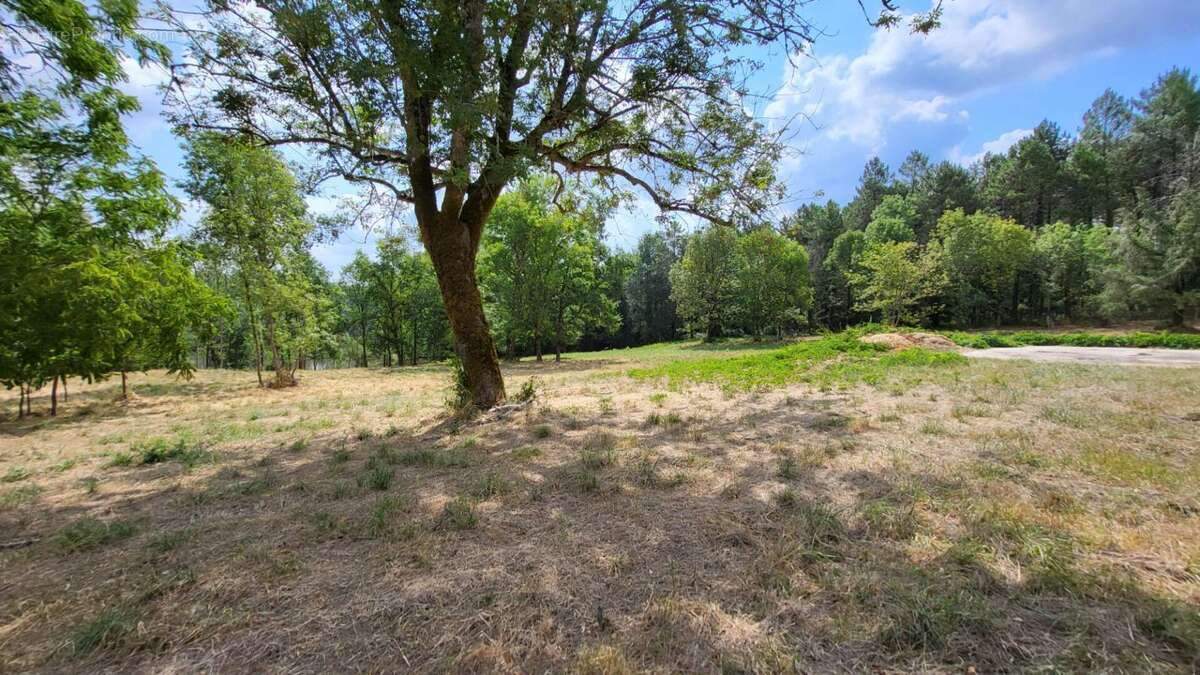 Ancienne fermette : maison  122 m² et grange  420 m² sur parcelle de 3ha environs à la campagne - photo 18