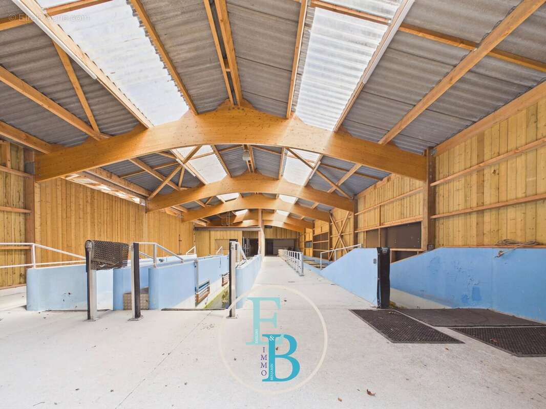 Grangues (pays d'auge) - centre d'entrainement et de reeducation equin avec balneotherapie - photo 9