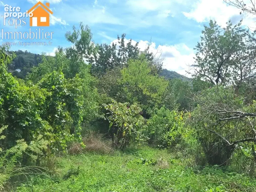 Terrain de loisirs en bord d'Aveyron avec cabane en pierre - photo 6