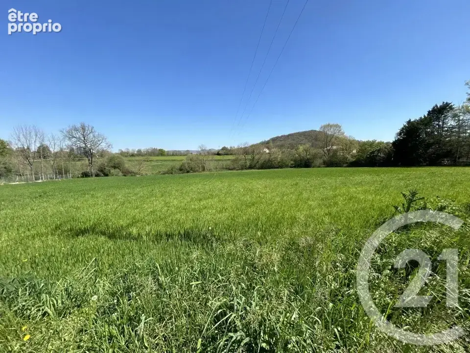 Terrain 10815 m² à Montsaunes  - photo 3