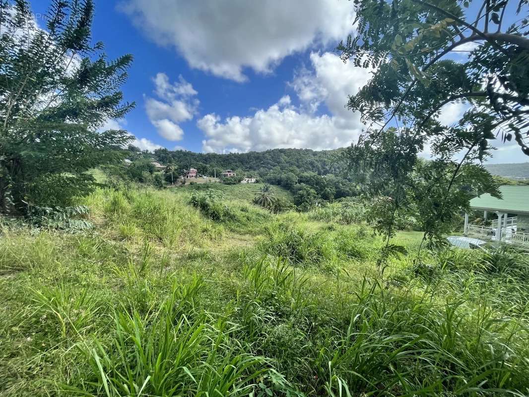 Terrain à RIVIERE-SALEE