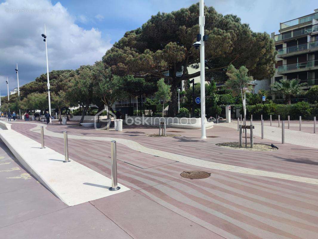 Studio de plage - photo 10