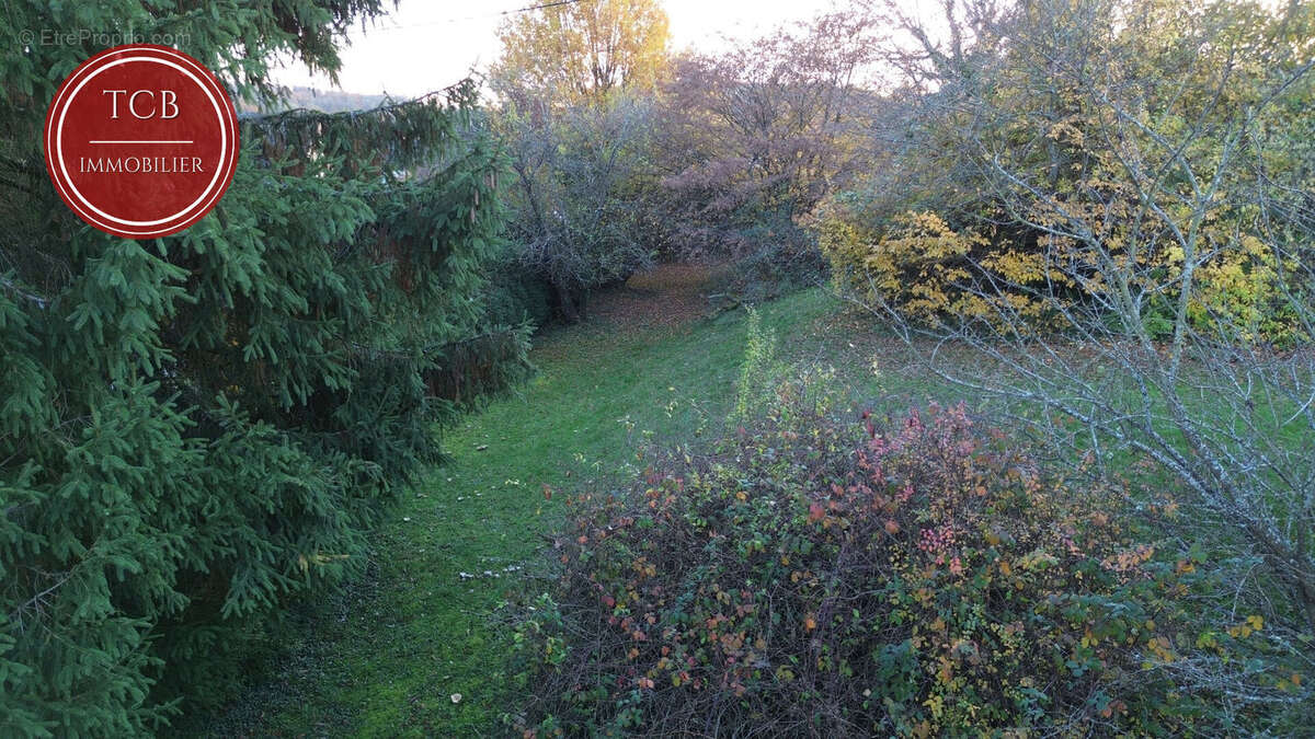 Terrain à ASPACH-LE-HAUT